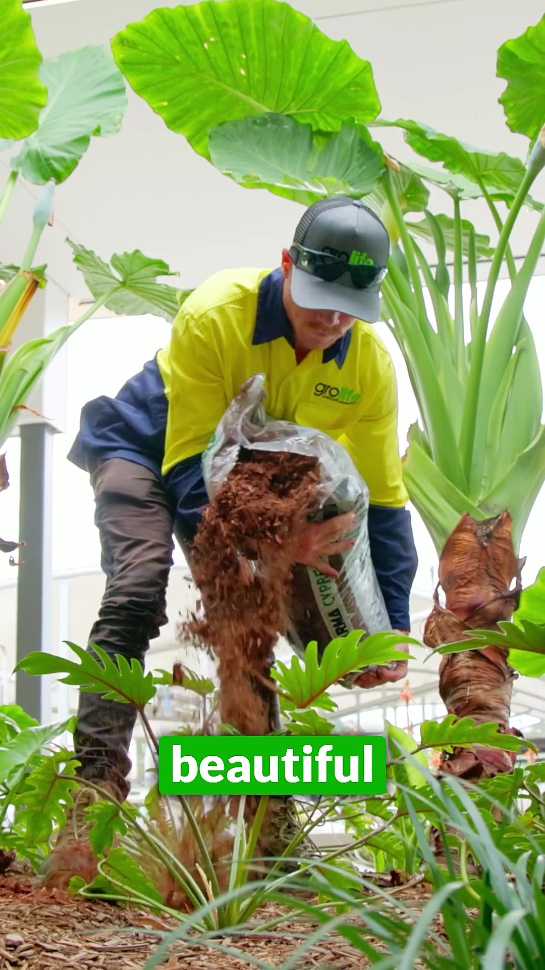 Grolife crew on a commercial site